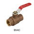 Campbell Brass & Stainless Valve - 1/2-4 in