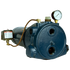 Franklin Electric Convertible Pro (RM2) Series Cast Iron Convertible Jet Pump - NSF 372, Shallow & Deep Well, 1/2-1 HP