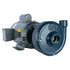 Franklin Electric DCL1-1/2 close-coupled centrifugal pump
