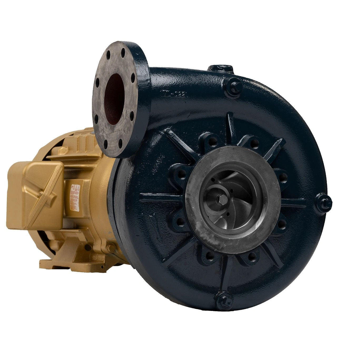 Franklin Electric XS 8613 close-coupled centrifugal pump