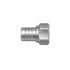 Goulds 4K170 snifter valve