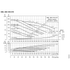 Grundfos NBE 030-070 performance curves, 4000 RPM, 60 Hz