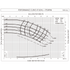 Grundfos VLS 20955 performance curves at 1750 RPM, impeller sizes, efficiency, motor power and NPSH