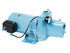 Little Giant by Franklin Electric JP Series shallow well jet pump shown for reference