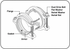 Smith-Blair Style 431 RazorLock Wide Range Restrained Coupling - 4-8 in - view 4