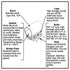 Smith-Blair Style 228 Full Circle Repair Clamp - Stainless, 14.38-30.72 in OD