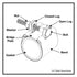 Smith-Blair Style 244 Full Circle RediClamp - SS Bolts, 1/2-2 in