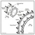 Smith-Blair Style 274 Bell Joint Leak Clamp - Long Bell, 4-36 in