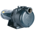 Franklin Electric Turf Boss Close-Coupled Self-Priming Pump - Turf, Irrigation & Transfer, 1-5 HP