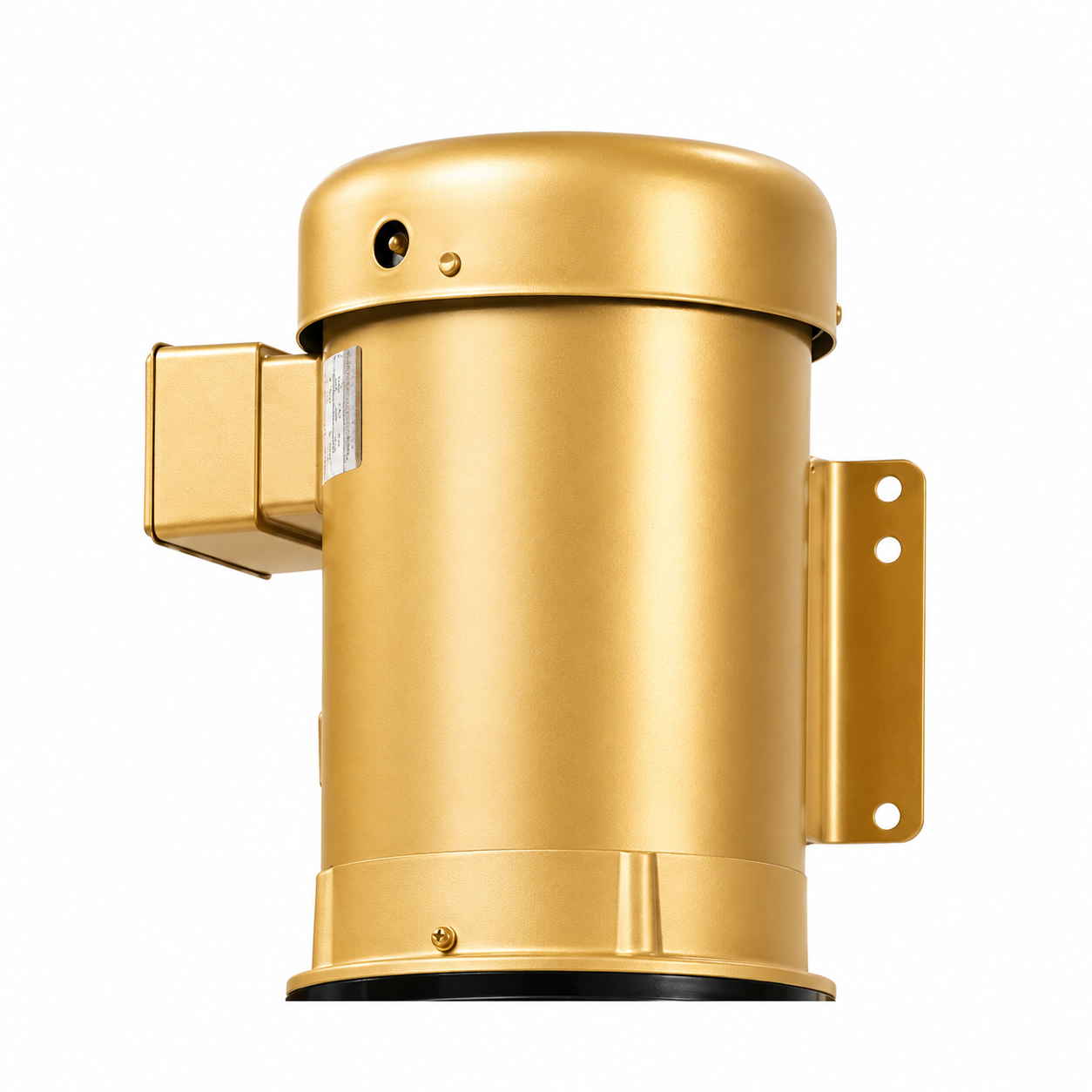 Illustration of a vertical flange-mount replacement motor for VR Series pumps