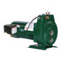 A.Y. McDonald 8600 Convertible Jet Pump