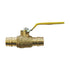 A.Y. McDonald 72030EXP Expansion PEX Full Port Ball Valve, No-Lead