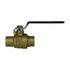 A.Y. McDonald 72032S Full Port Ball Valve, No-Lead