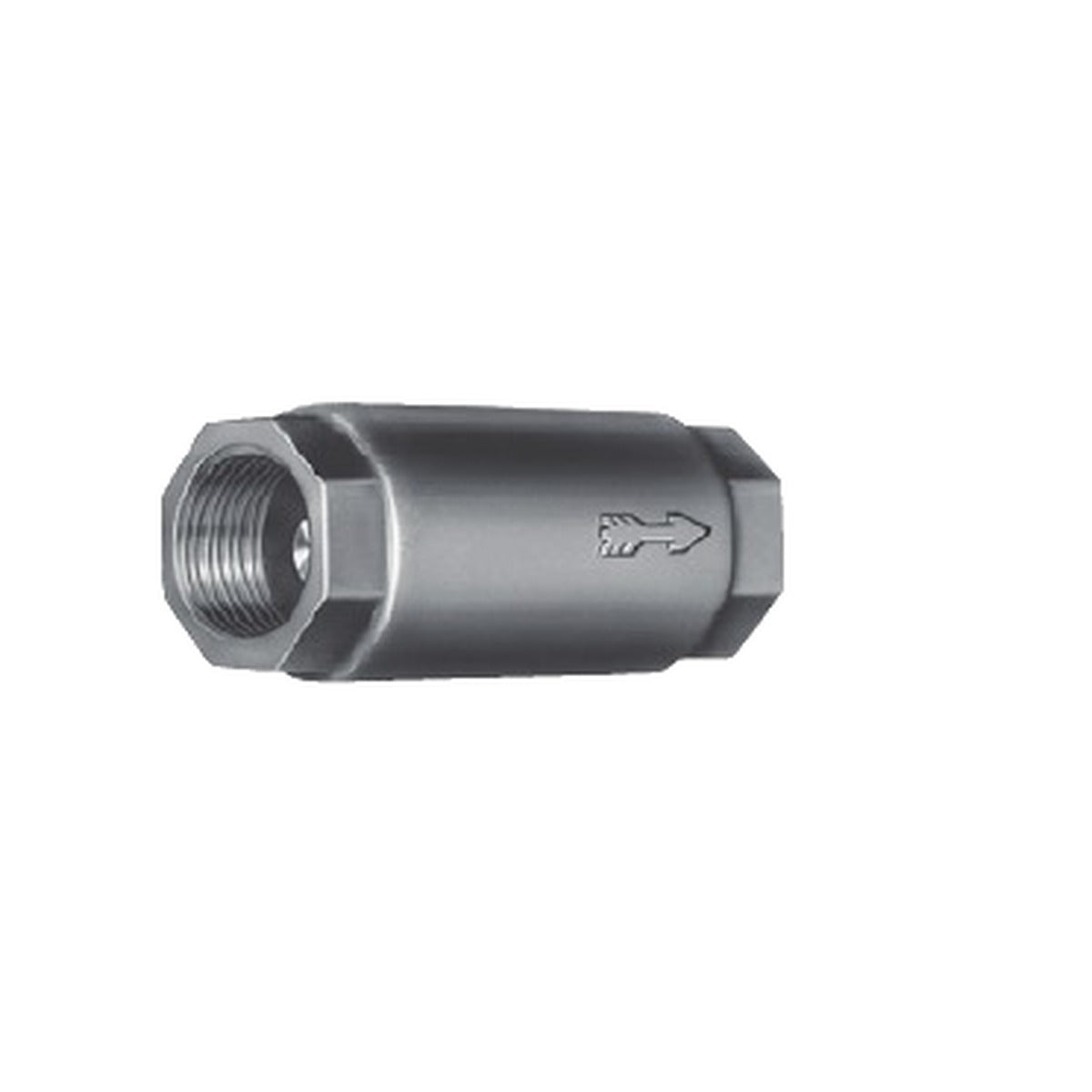 Goulds Check Valve