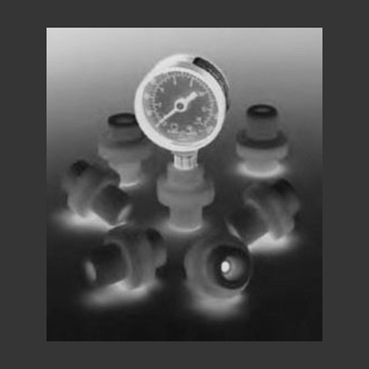 Goulds Gauge Guard