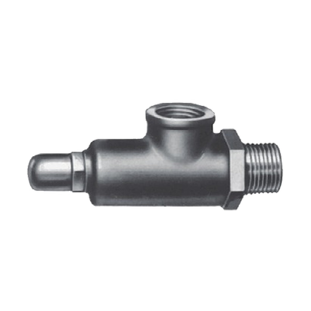 Goulds Relief Valve