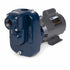 Franklin Electric Turf Boss Self-Priming Pump